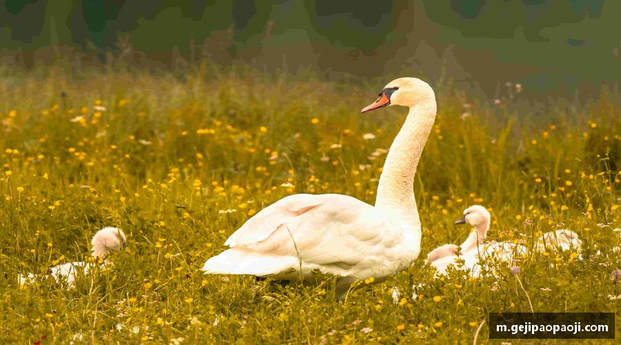 三亿体育有限公司拼尽全力，一起创造传奇！